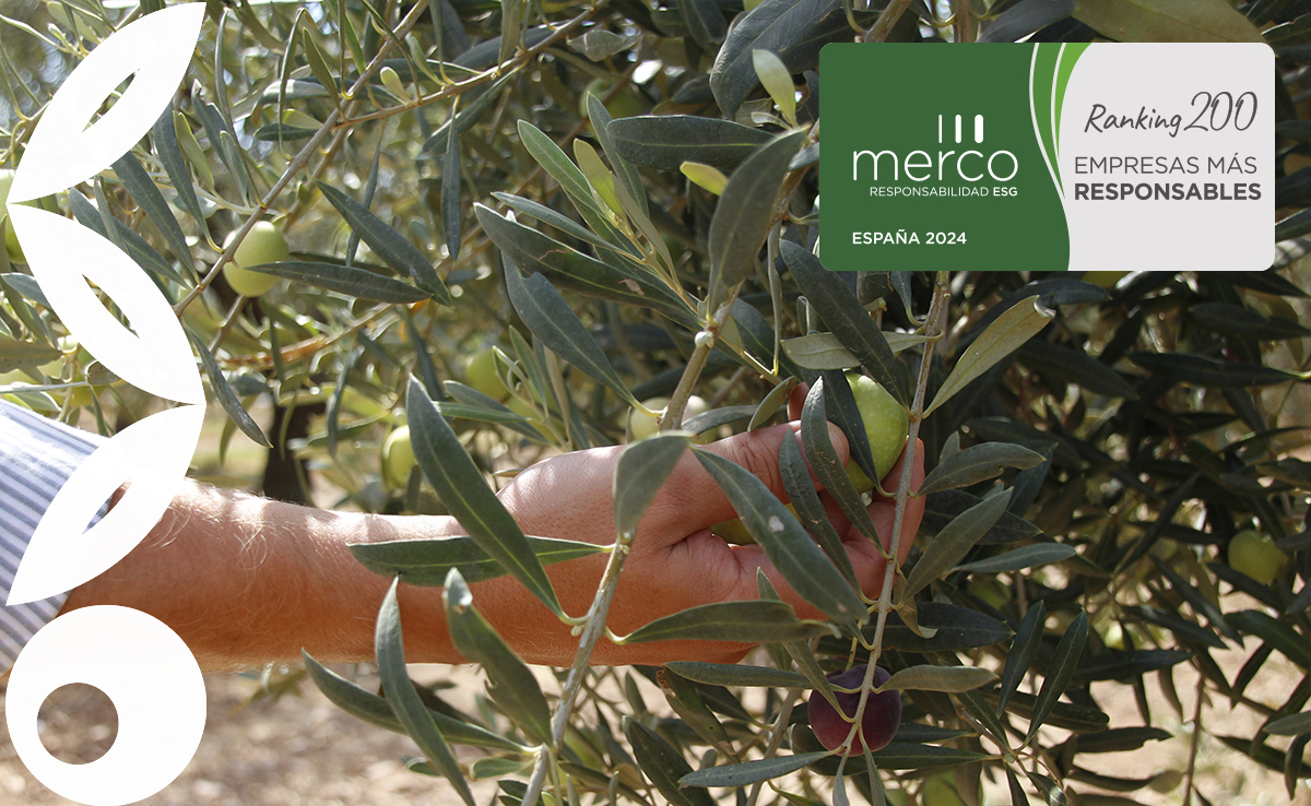 Acesur Merco 